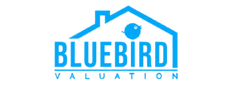 BlueBird valuation